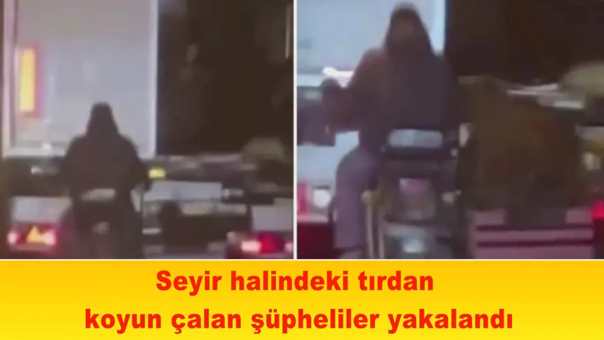 Seyir halindeki tırdan koyun çalan şüpheliler yakalandı