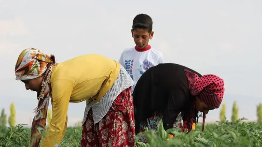 25 milyon lira kaynak ayrıldı