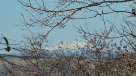 Diyarbakır’da Yüksek Kesimlerde Kar Sevinci