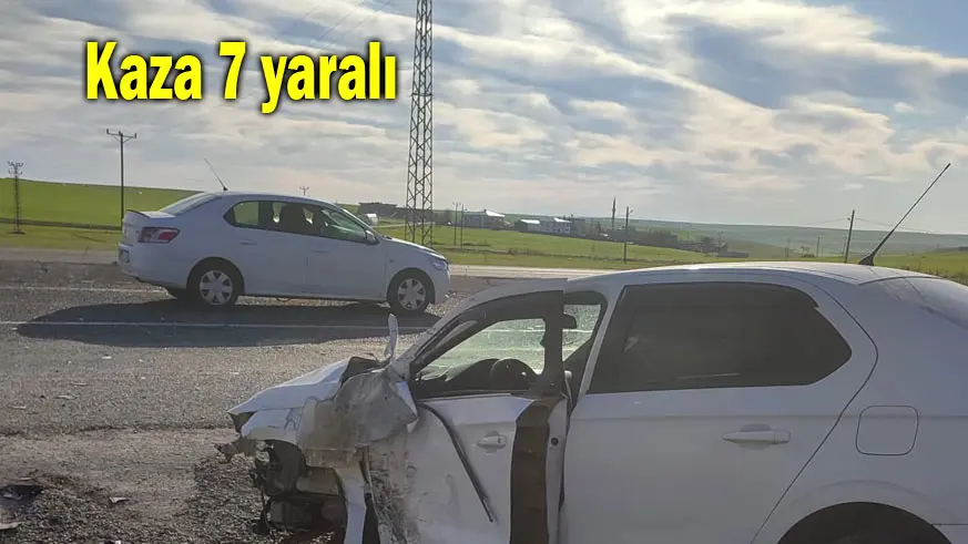 Kaza 7 yaralı