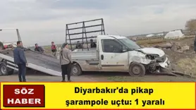 Diyarbakır'da pikap  şarampole uçtu