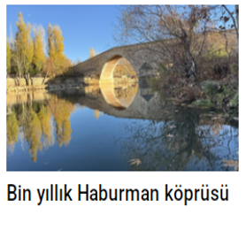 Bin yıllık Haburman köprüsü