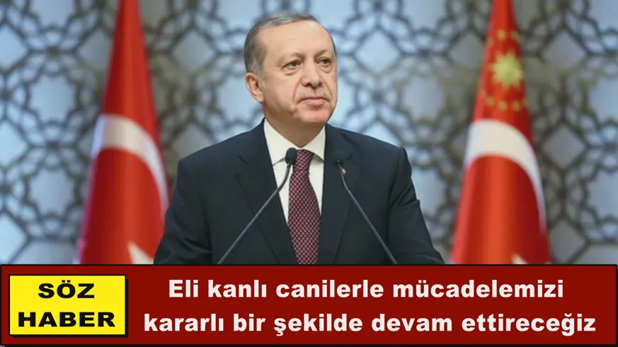 Eli kanlı canilerle mücadelemizi  kararlı bir şekilde devam ettireceğiz