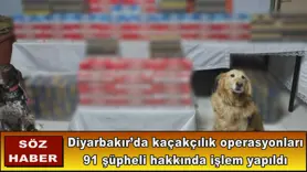 91 şüpheli hakkında işlem yapıldı