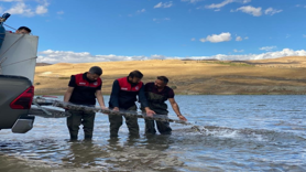 Türkiye nüfusu kadar balık deniz ve göllere bırakıldı