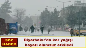 Diyarbakır'da kar yağışı etkili oldu