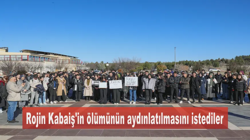 Rojin Kabaiş'in ölümünün aydınlatılmasını istediler