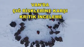 Van'da çığ risklerine karşı kritik inceleme