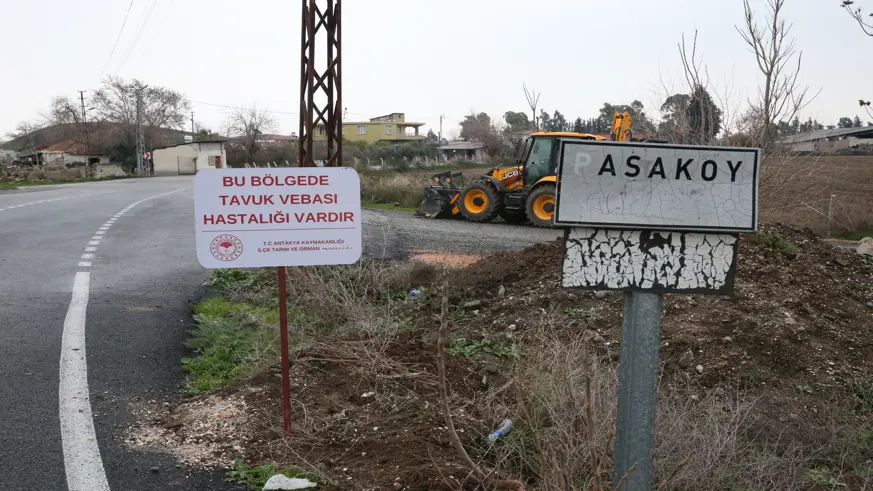 Kuş gribi görülen mahalle karantinaya alındı