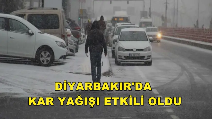 Diyarbakır'da kar yağışı etkili oldu