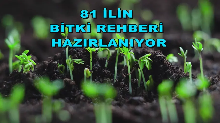 81 ilin bitki rehberi hazırlanıyor