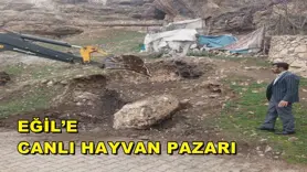 Eğil’e Canlı hayvan pazarı