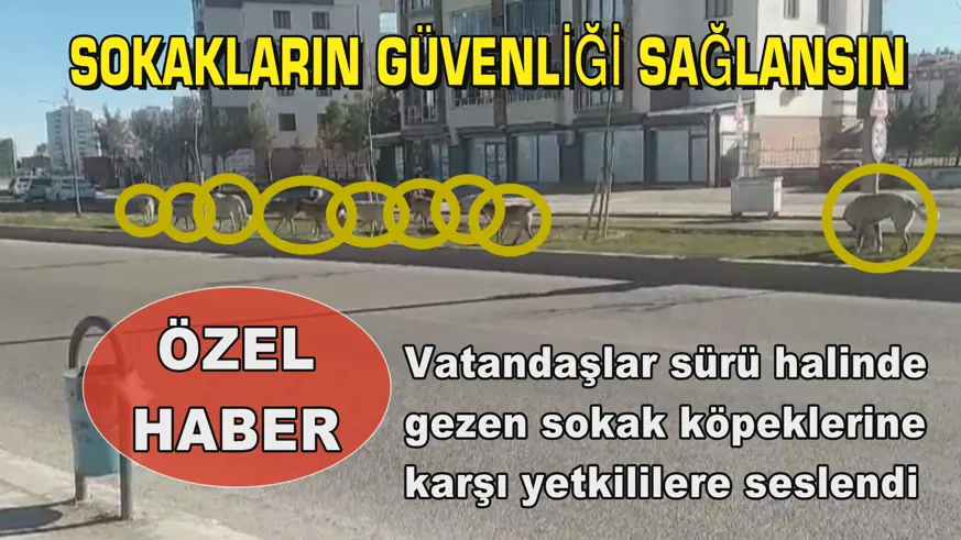 SOKAKLARIN GÜVENLİĞİ SAĞLANSIN