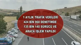 1 aylık trafik verileri