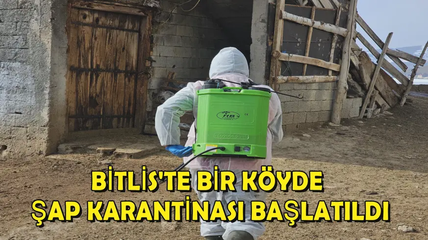 Bitlis'te bir köyde şap karantinası başlatıldı