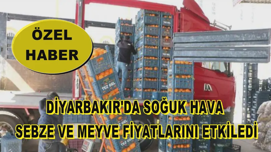 Diyarbakır'da soğuk hava sebze ve meyve fiyatlarını etkiledi