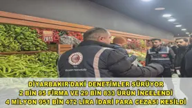 Diyarbakır 2024 denetim verileri