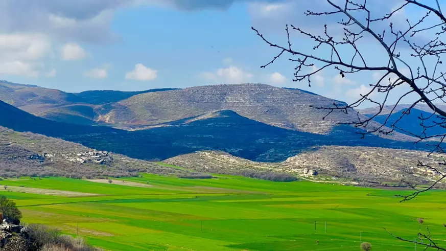 Baharın ahengi göz kamaştırdı