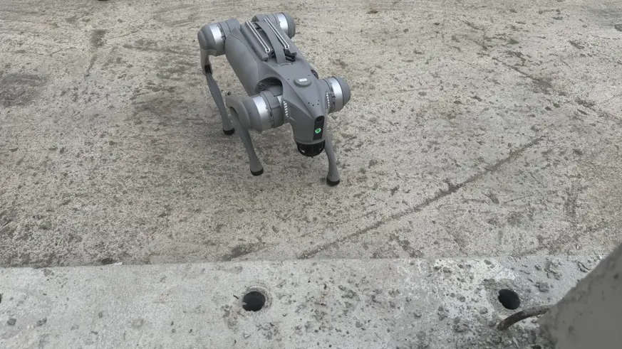 Deprem hasarları yapay zeka ve robot köpeklerle tespit edilebilecek