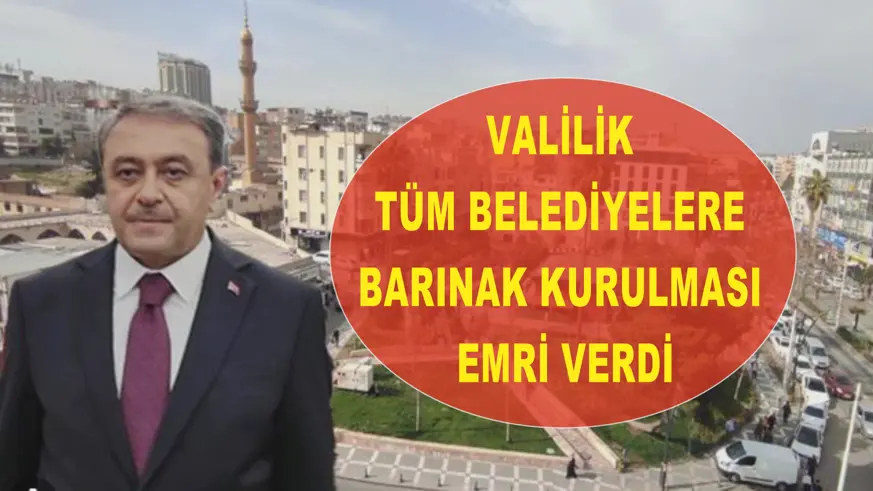 Valilik tüm belediyelere barınak kurulması emri verdi