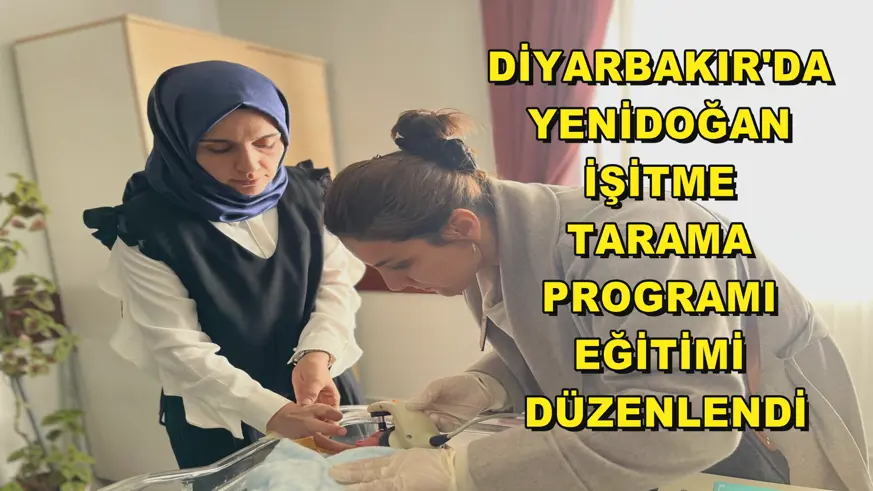 Diyarbakır'da 