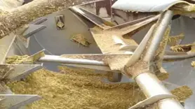 Yem kırma makinesine düşen çiftçi öldü