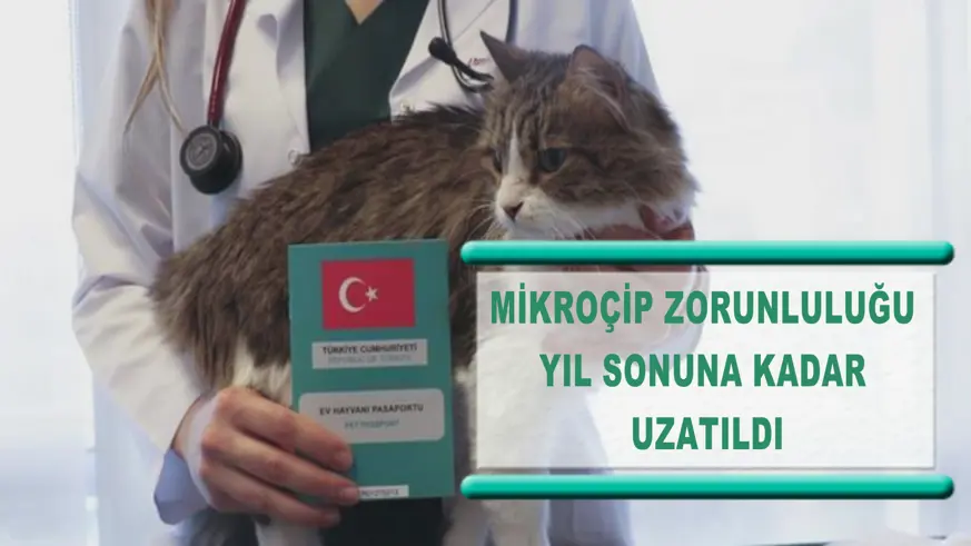 Mikroçip zorunluluğu yıl sonuna kadar uzatıldı