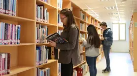 Yükseköğretime kayıtlı öğrenci sayısında kadınların oranı