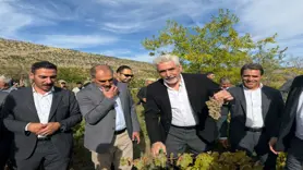 Hani’ye çıkarma! 