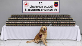 Diyarbakır'da kaçakçılık operasyonları