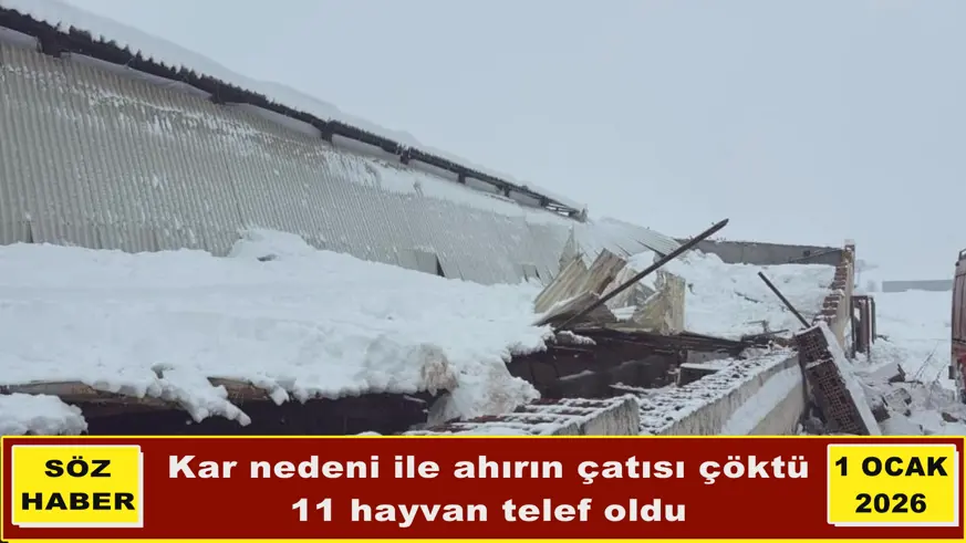 Kar nedeni ile ahırın çatısı çöktü