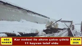 Kar nedeni ile ahırın çatısı çöktü
