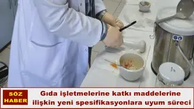 Gıda işletmelerine katkı maddelerine  ilişkin yeni spesifikasyonlara uyum süreci
