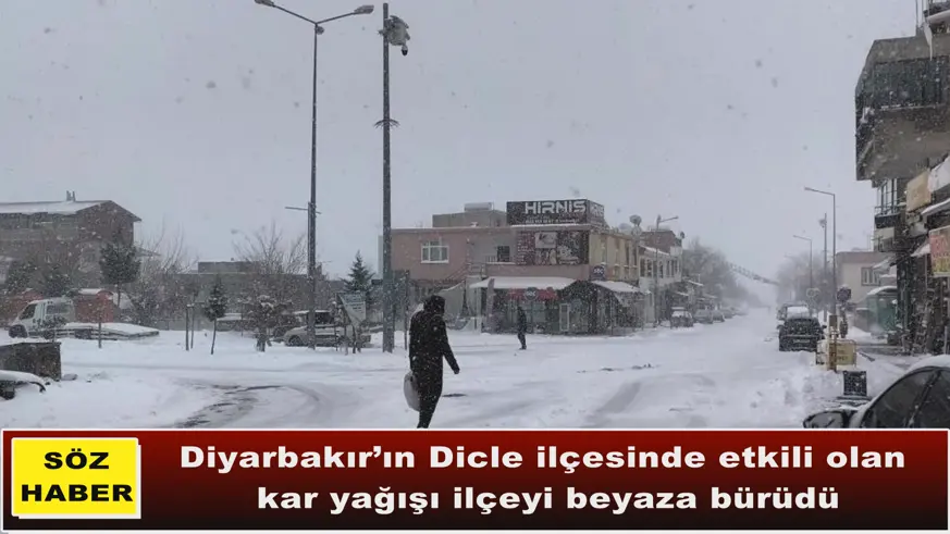 Dicle'de yoğun kar hayatı olumsuz etkiledi