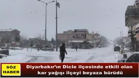 Dicle'de yoğun kar hayatı olumsuz etkiledi