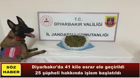 Diyarbakır'da 41 kilo esrar ele geçirildi