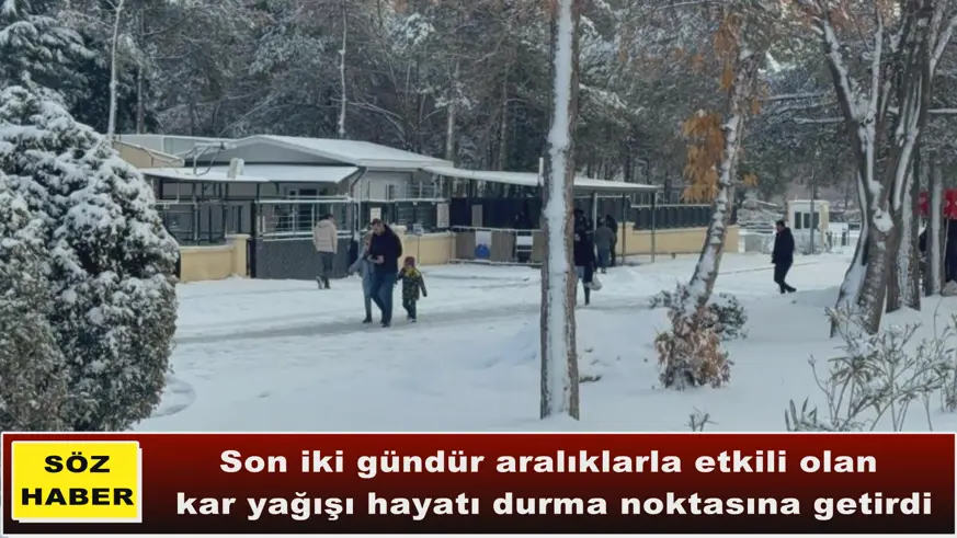 Diyarbakır’da kar yağışı çileye dönüştü