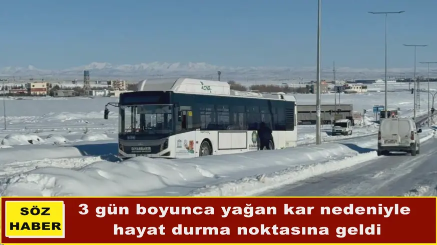 Diyarbakır'da kar çilesi devam ediyor