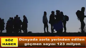 Dünyada zorla yerinden edilen  göçmen sayısı 123 milyon