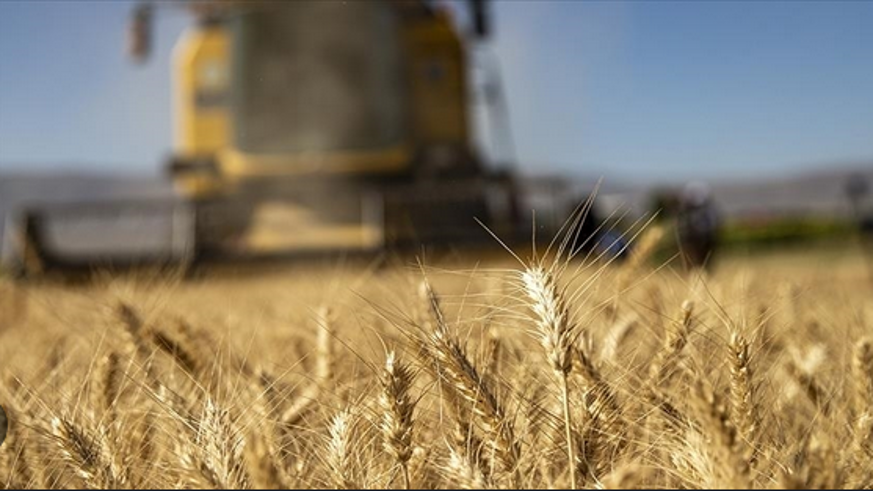 Tarım-GFE yıllık yüzde 34,24 arttı