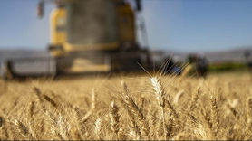 Tarım-GFE yıllık yüzde 34,24 arttı