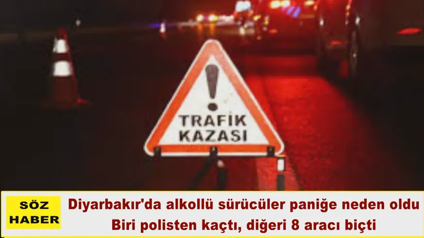 Biri polisten kaçtı, diğeri 8 aracı biçti