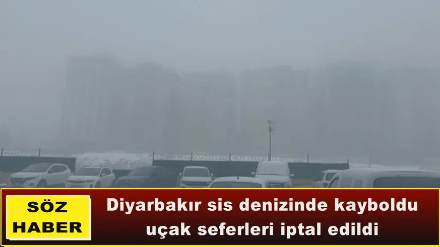 Diyarbakır sis denizinde kayboldu