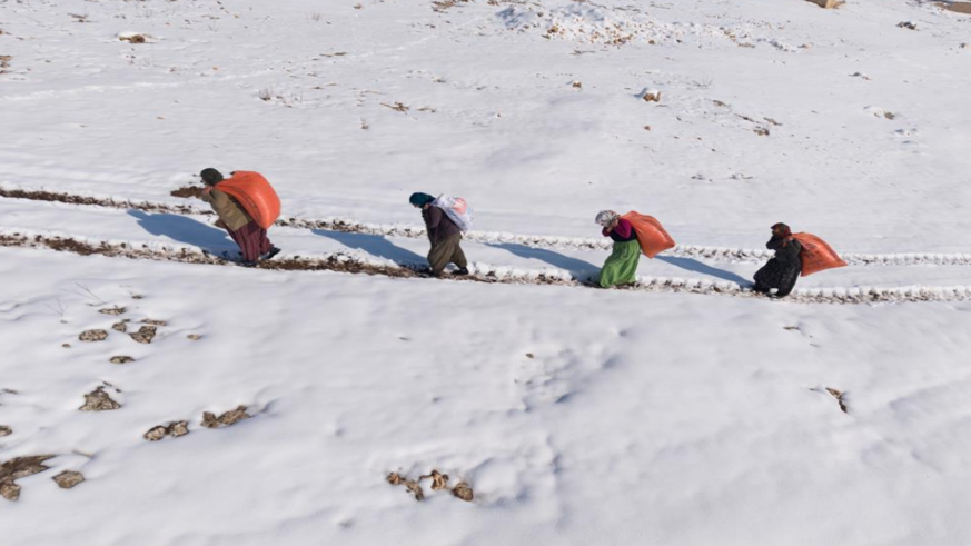Kadınlar sırtlarında saman taşıyarak kışa meydan okuyor