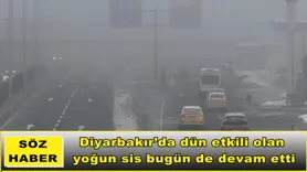 Diyarbakır’da sis etkisini sürdürüyor