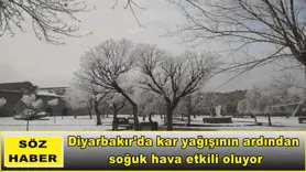 Diyarbakır'da soğuk hava etkili oluyor