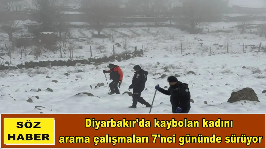 Diyarbakır'da kaybolan kadını arama çalışmaları 7'nci gününde sürüyor