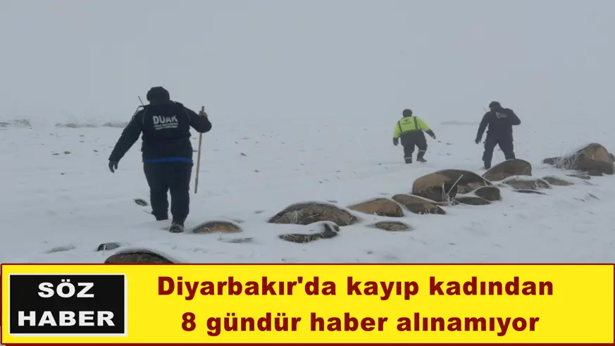 Diyarbakır'da kayıp kadından 8 gündür haber alınamıyor