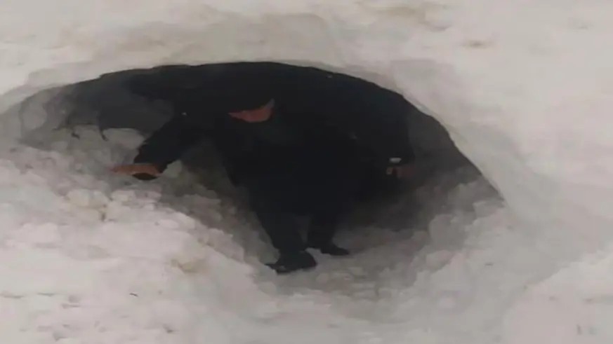 Kardan kapanan ahıra tünel açarak girdiler