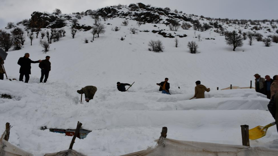 Şırnak'ta bal arıları çığ altında kaldı